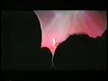David Bowie - If I\