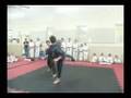 Tae Kwon Do Tournament Team Demonstration - July 2008