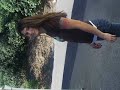 Armida Winery