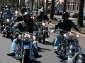 Haagse Harleydag The Hague 2007 Haagse Harleydag The Hague 2007