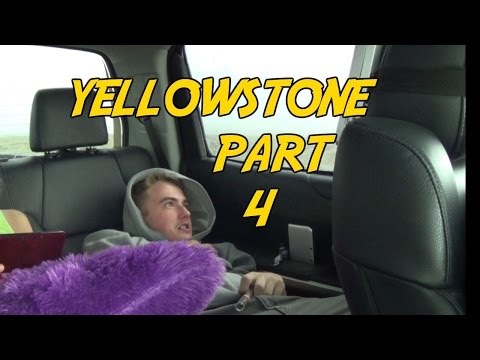 YELLOWSTONE - Ever dreamed of being a