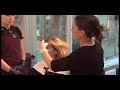 Negin Zand, Colorist, John Frieda Salon, Los Angeles Negin Zand, Colorist, John Frieda Salon, Los Angeles