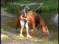Clip from Ellen Ofstads video 