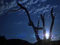 donnie darko   best scenes   mad world  alternate version 