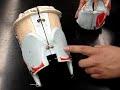 Identification of Larynx