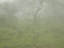 Salalah Oman