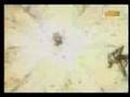 Dragon-Ball-Z-Gohan-