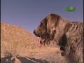 Breed All About It - Spinone Italiano