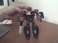 Botcon 2008 \"Shattered Glass\" Optimus Prime