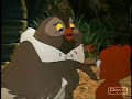 todd n copper - ill stand by you todd n copper - ill stand by you