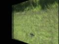 videos de GIRO PELA FONTE PARTE 2
