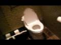 videos de you should have seen
