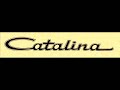 surfing to catalina island