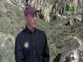 When Animals Strike - Puma Slays Hiker When Animals Strike - Puma Slays Hiker