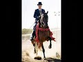 great arabians great arabians