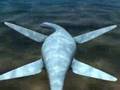 Juvenile Plesiosaur Animation