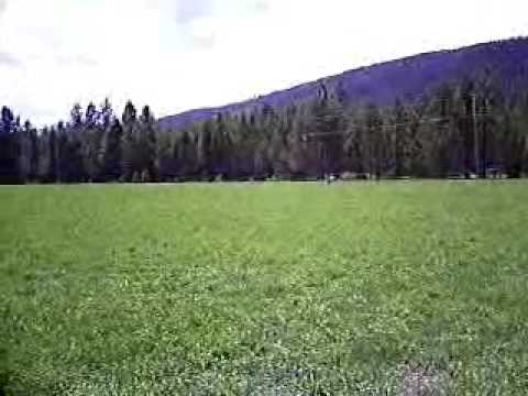 mikes ranch early summer