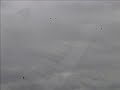Poem for a Gray Day with Swallows