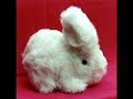 Bunny Magic