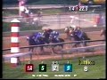 1996 Maryland Breeders Cup Handicap 1996 Maryland Breeders Cup Handicap