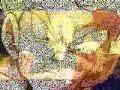 dbz dragon ball z goku broly    noemi   in my dreams