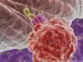 Chemokine Therapeutics: Mechanism Of Action