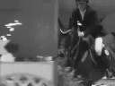 Showjumping; Palladio