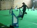 Pikus i Pikusiowa - agility