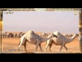 منقية الشيخ سلمان بن عبدالله الفراج السبيعي 5- 12- 1432ه
