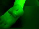 The Green Hand !