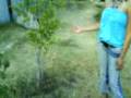 videos de jardinera en el bacho 12
