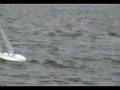 IOM en Nordelta