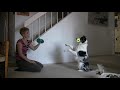 Dog Exercise Video- crazy dog tricks