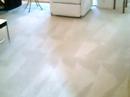 Choosing a Carpet Cleaner