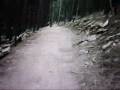 Colorado Mountain Biking