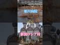 姫川病院 対 ロシア村
