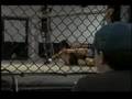 Steven Popplewell vs Aaron Hopgood Round 2