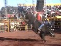 Jaripeo en Santa Ana Maya