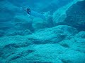 Just another Underwater video. NO Hot  Blonde   Babes  Striping