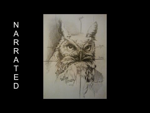how to draw owls