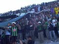 Verdinegro