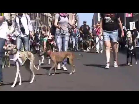 YouTube Preview Image