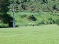 Duca Testando o campo de aguas férreas