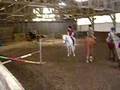 videos de dimanche cour