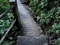 el yunque el yunque