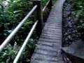 el yunque