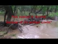 The Lone Star Creek Runs!!!