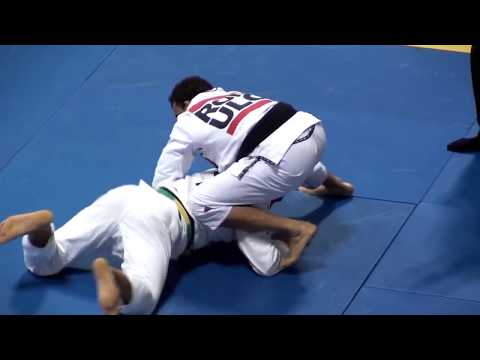 how to be a black belt in jiu jitsu