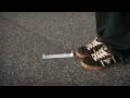 ANIMATE the WORLD - Caterpillar
