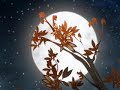 *07* Motion Graphics Showreel - Stephen Watkins *07* Motion Graphics Showreel - Stephen Watkins